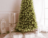 Puleo Christmas Trees: Why The Garden House Is Your #1 Destination - The Garden House