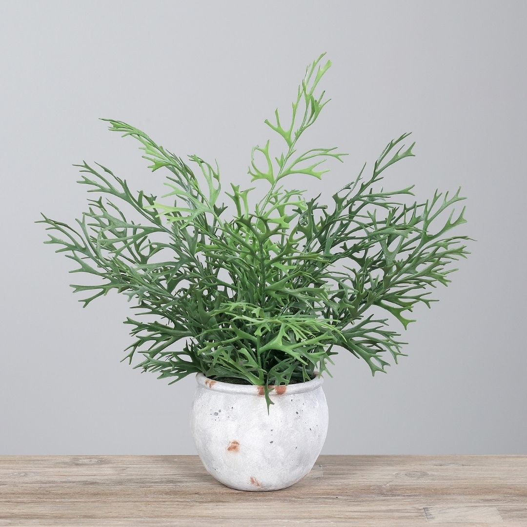 Artificial Antler Fern in Pot