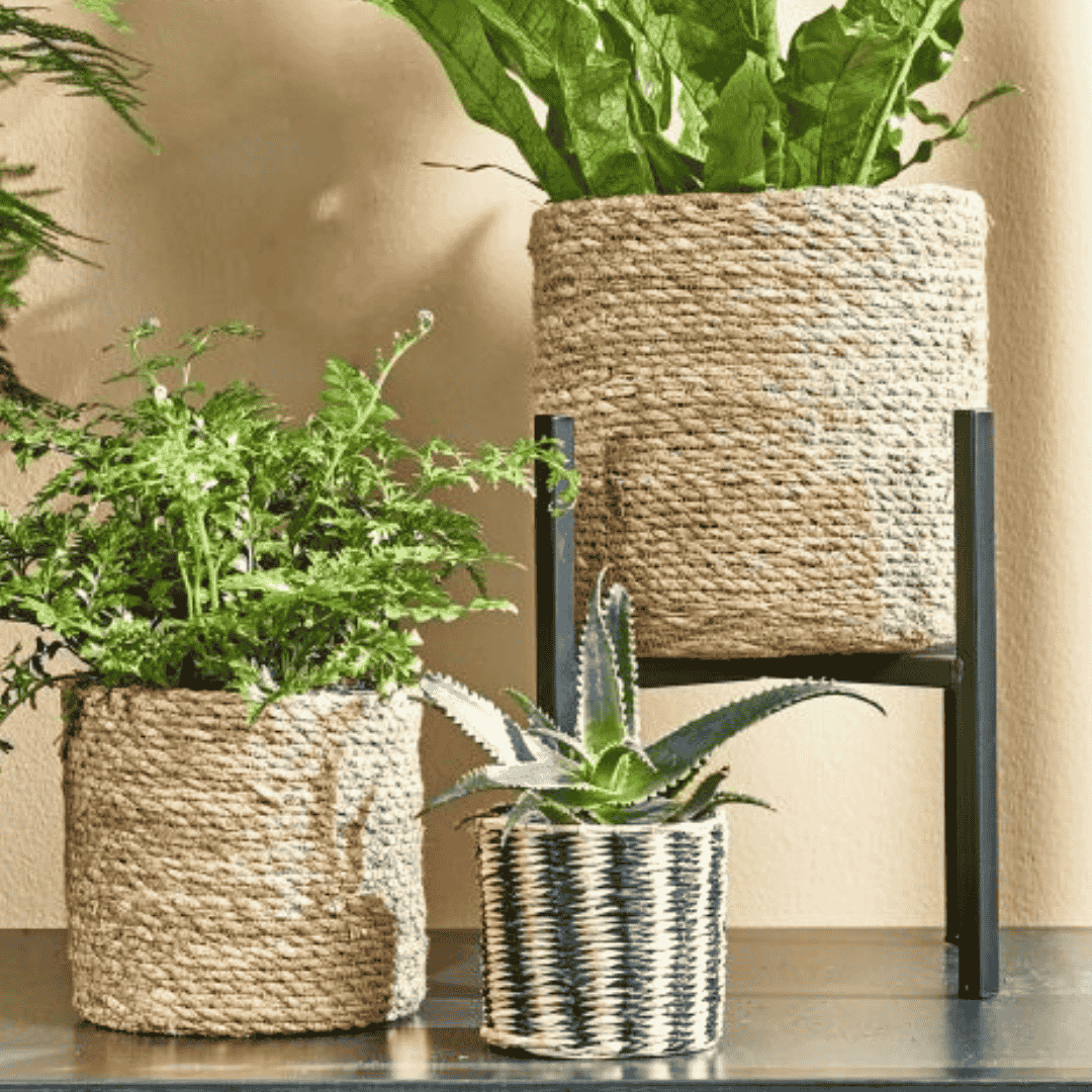 Ascot Plant Stand Black XL