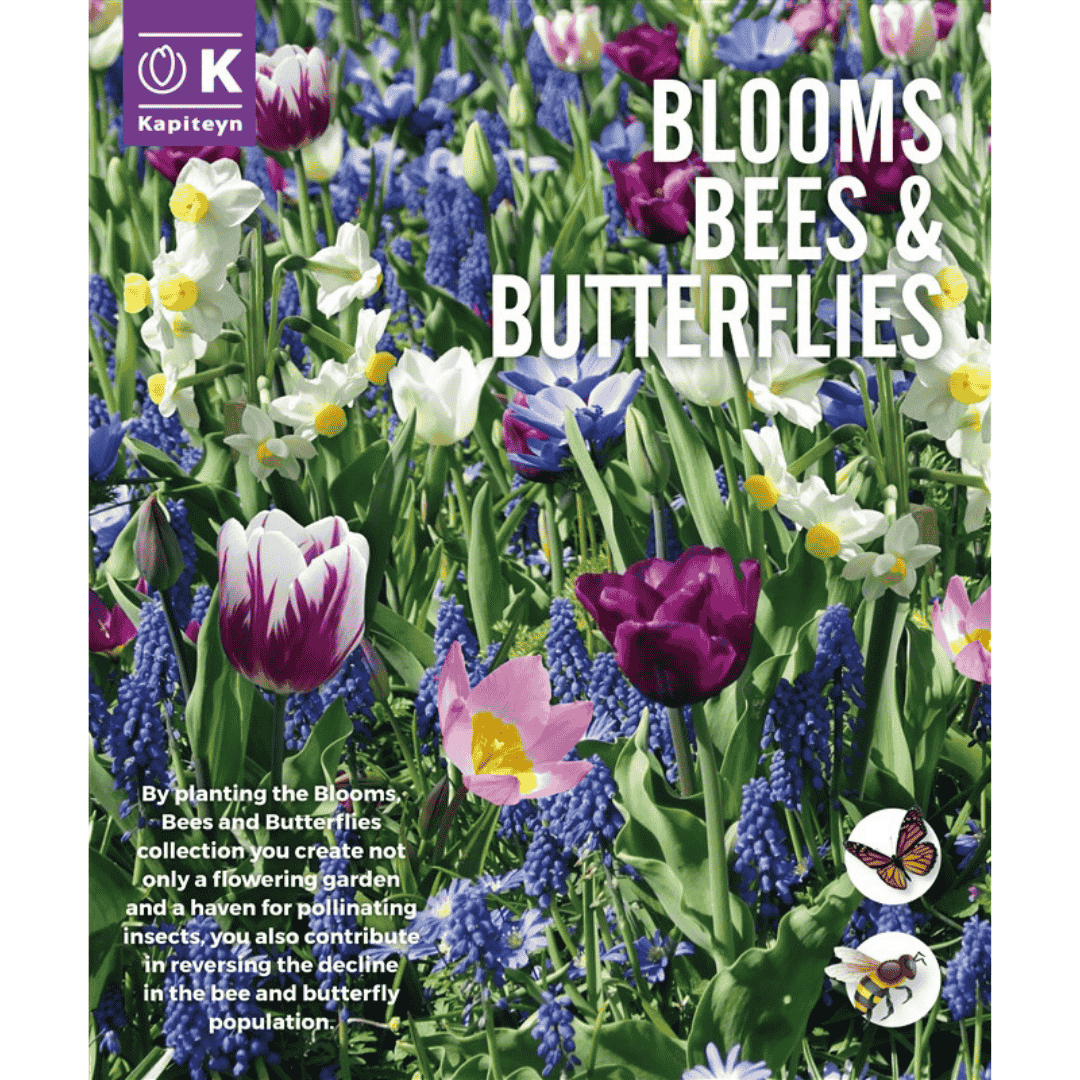 Blooms Bees & Butterflies Blue Shades