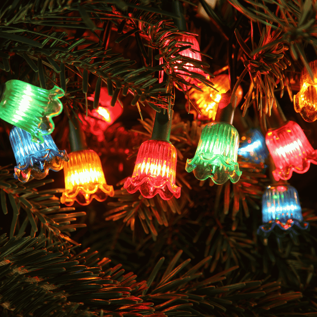 Christmas Lights Canterbury Belles 80 LED Multicolour