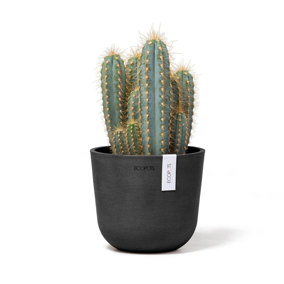 Ecopots Oslo Mini Pot Dark Grey