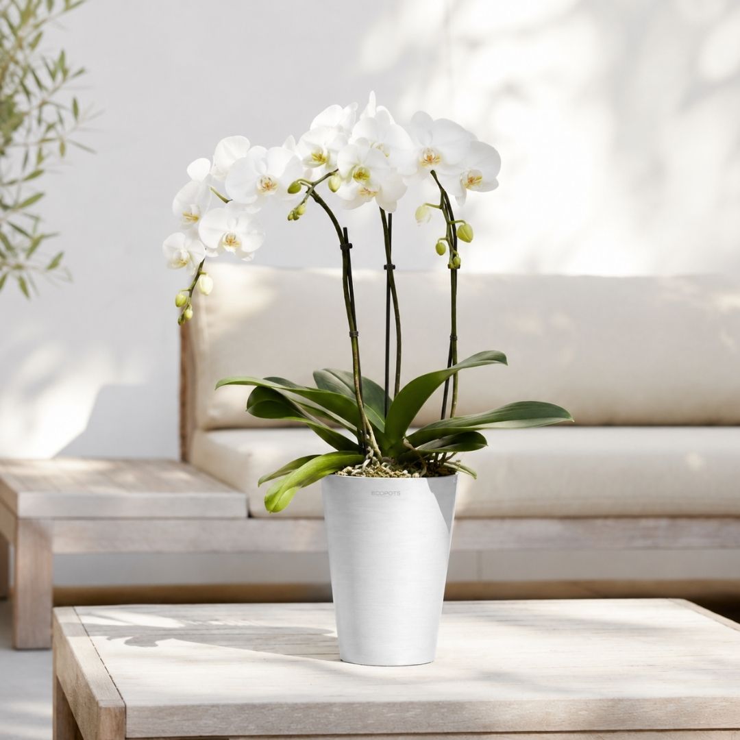 Ecopots Pisa Pot 14 Pure White