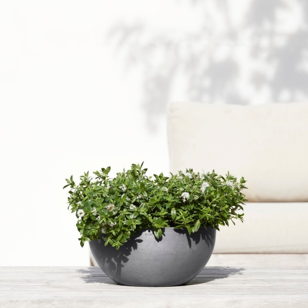 Ecopots Brussels 35 Grey