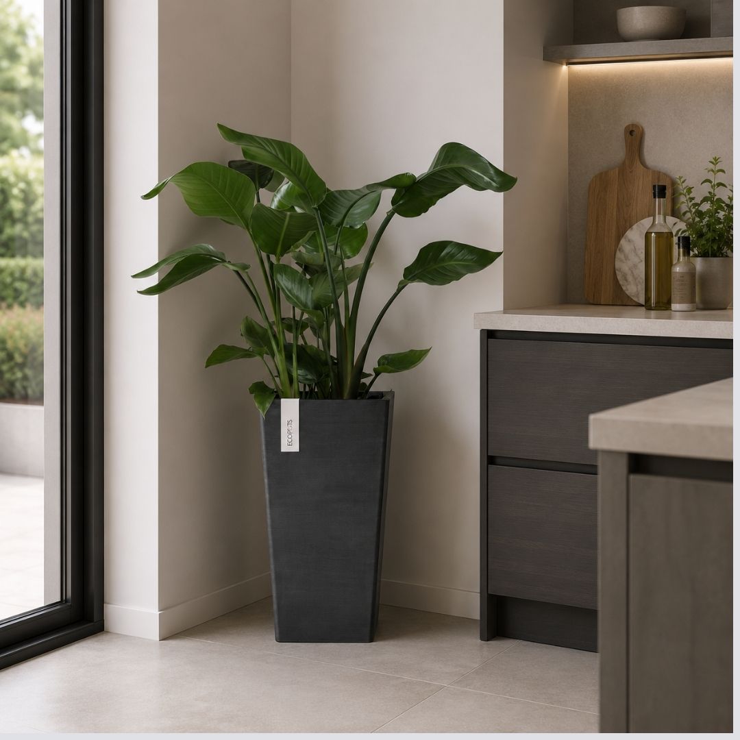 Ecopots Rotterdam Mid High 56 Dark Grey