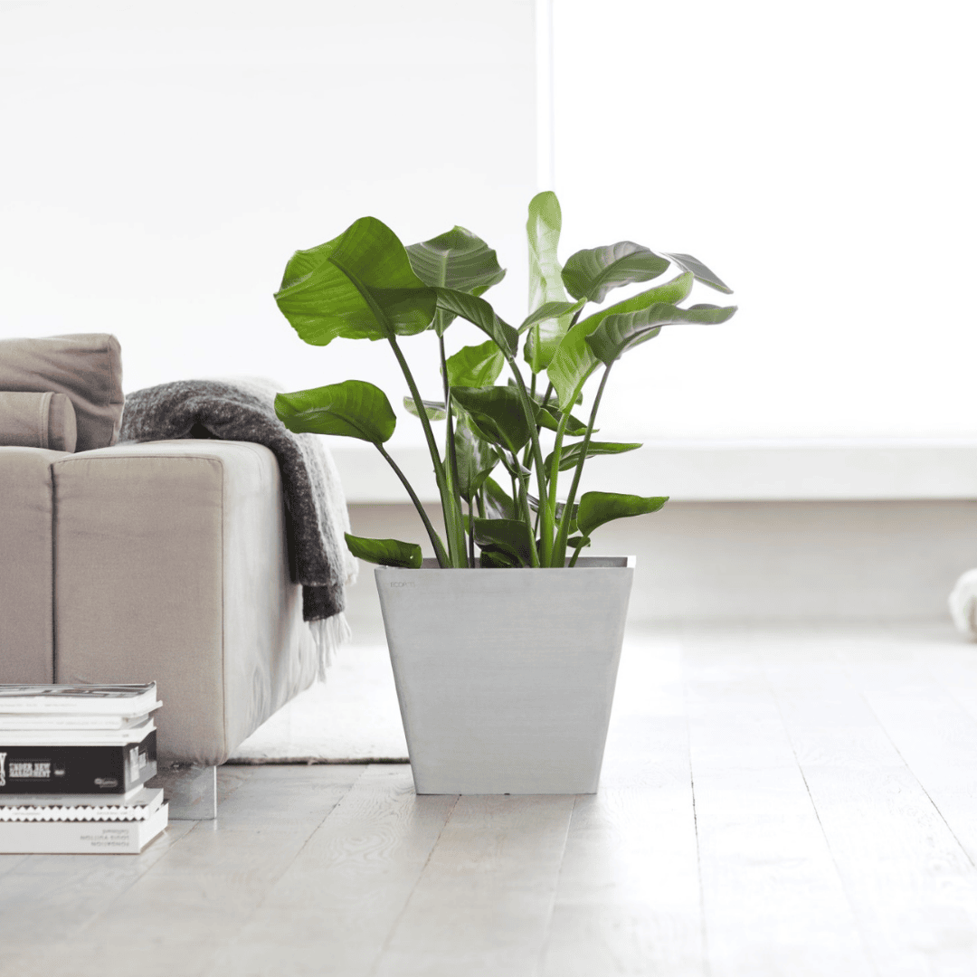 Ecopots Rotterdam White Grey