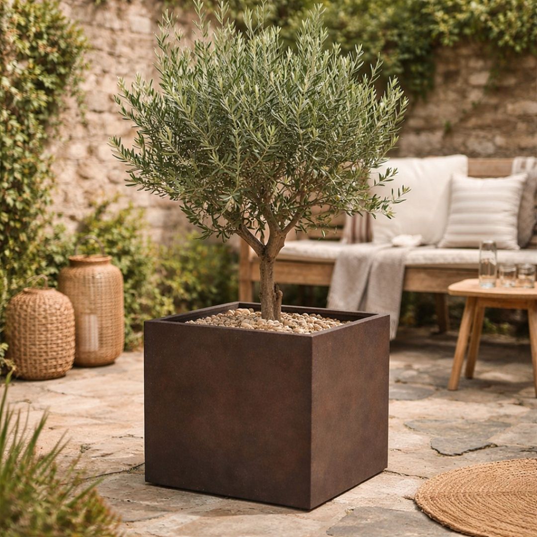 Eschbach Cube Planter - Rust Brown