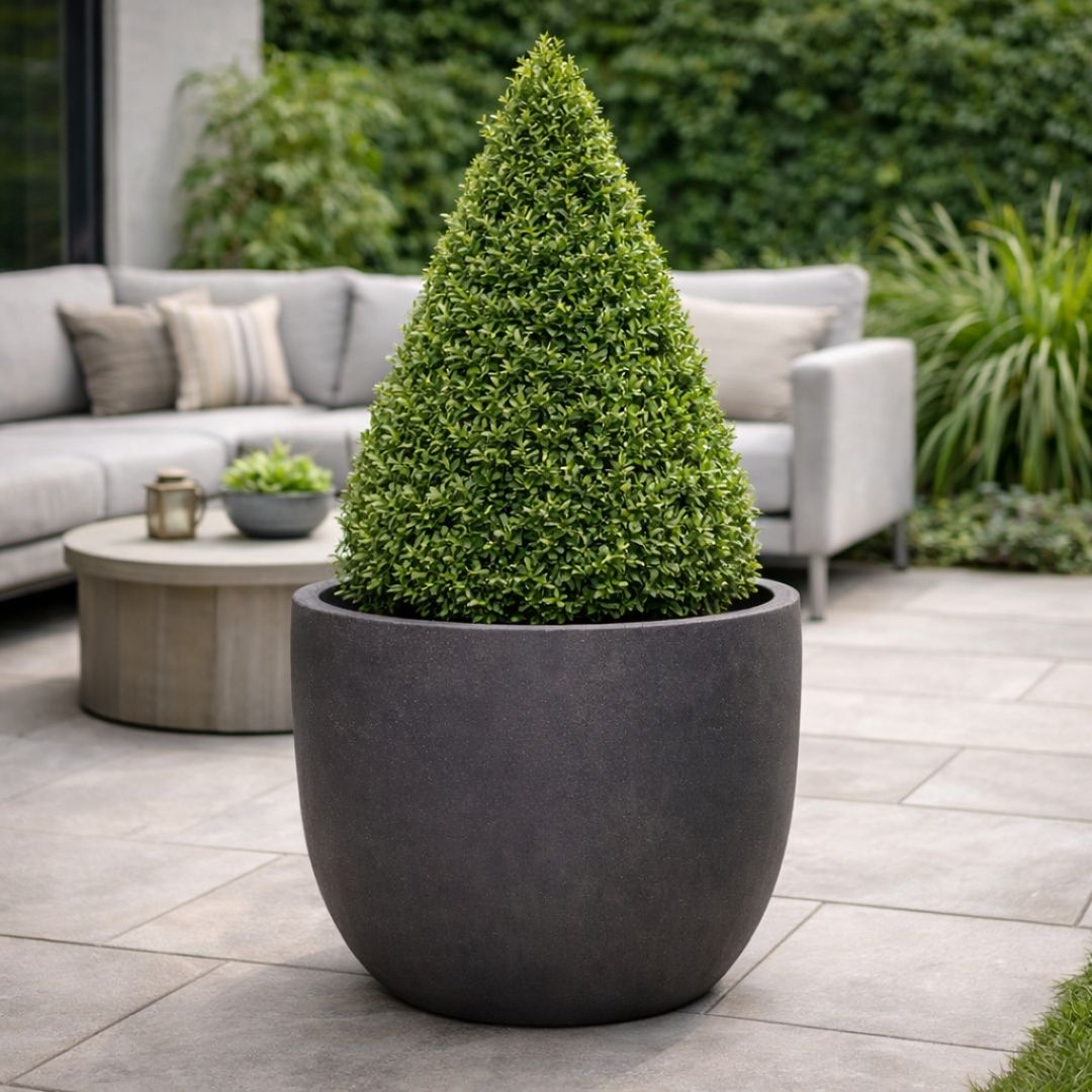 Eschbach Egg Pot - Espresso Black