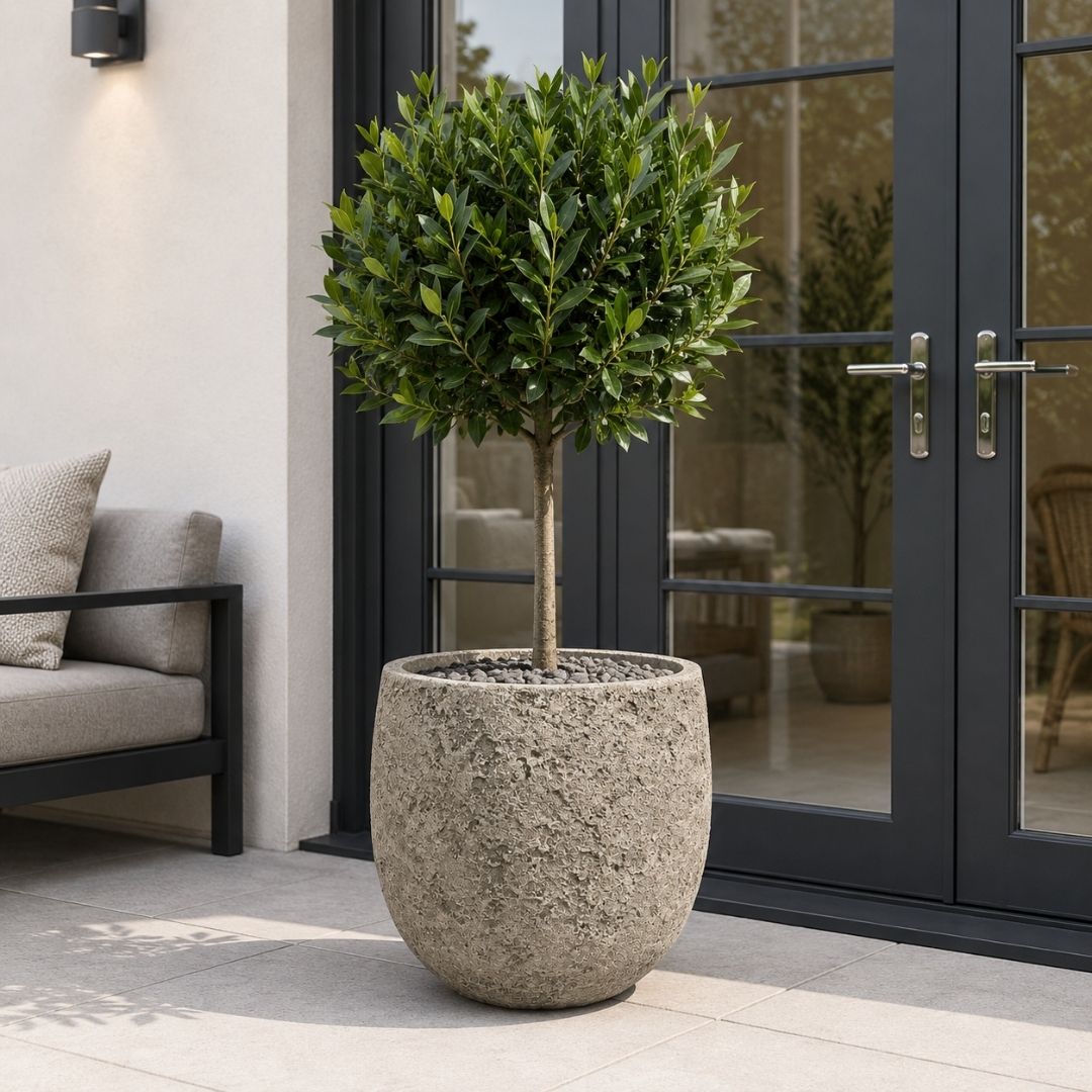 Eschbach High Balloon Pot - Rockstone Sand