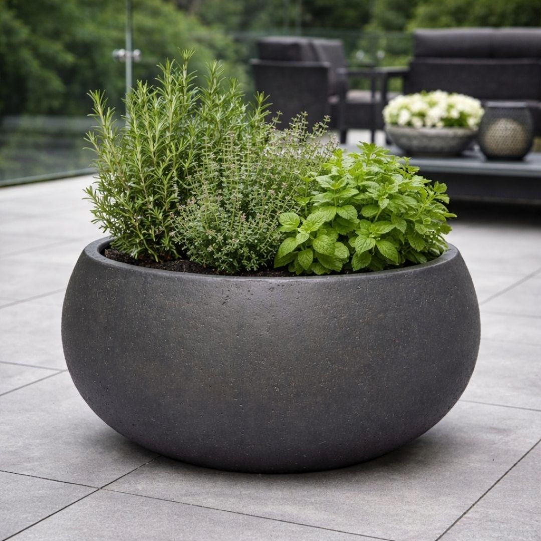 Eschbach Low Balloon - Espresso Black