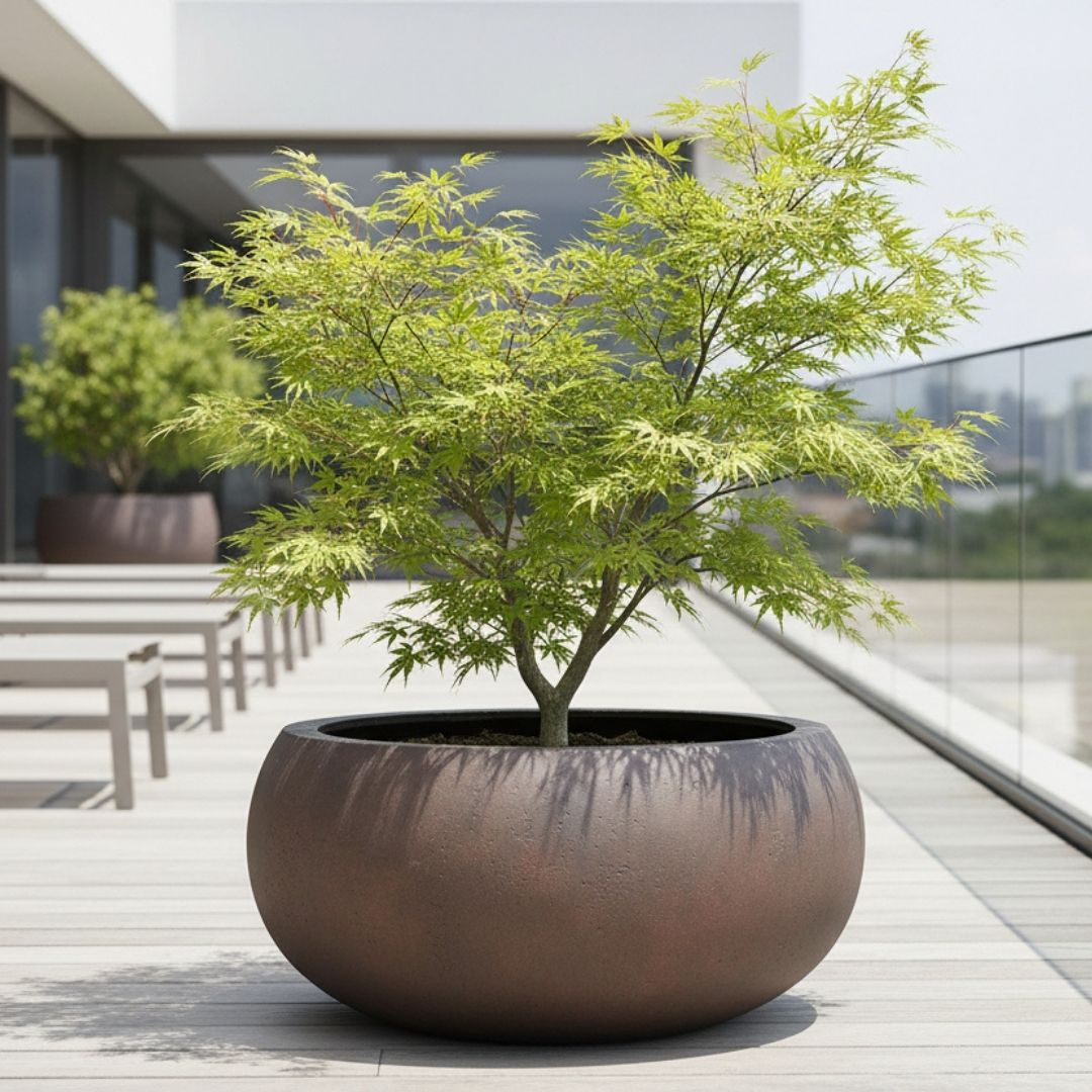 Eschbach Low Balloon - Rust Brown