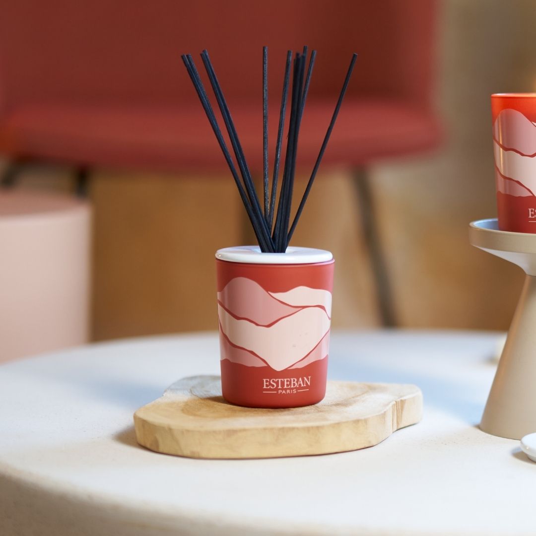 Reed Diffuser - Decorative Diffuser - Terre d'Ocre Karité