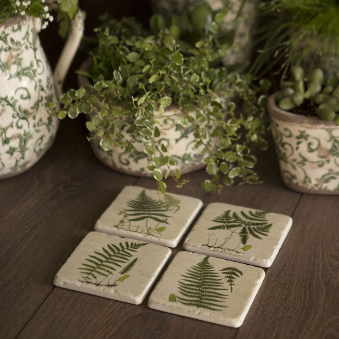 Fern Coasters