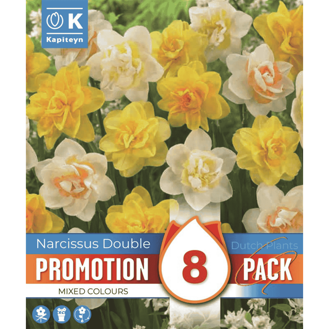 Narcissus Double Mixed Promo Bulbs