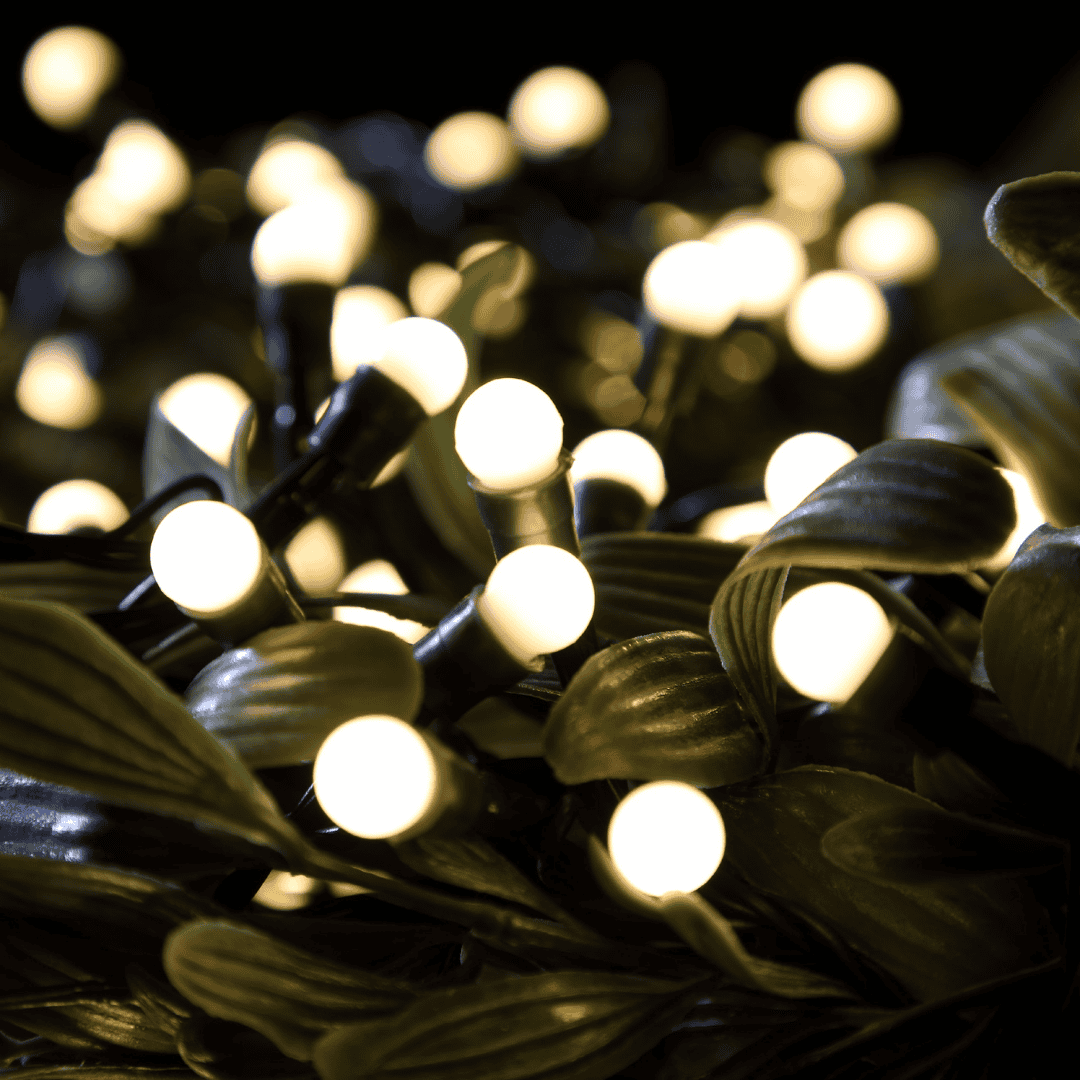 Noma Christmas Lights Berry Warm White - Battery Operated