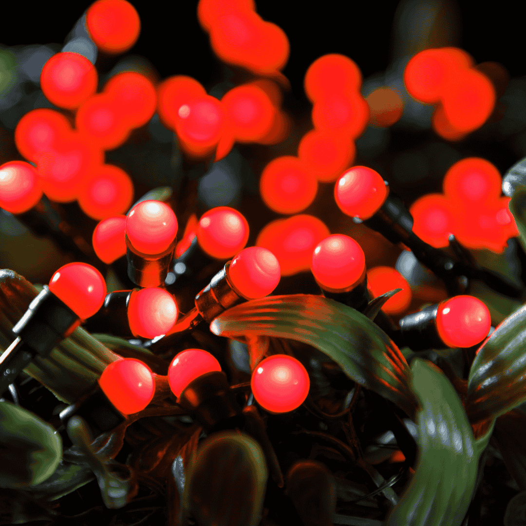 Noma Christmas Lights Red Berry - Battery Operated
