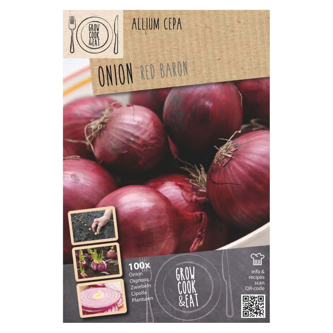 Onion Sets - Red Baron