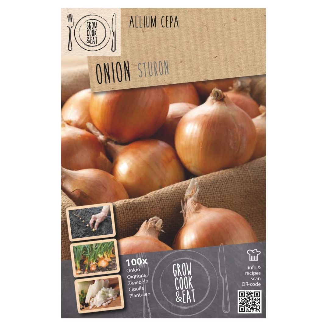 Onion Sets - Sturon