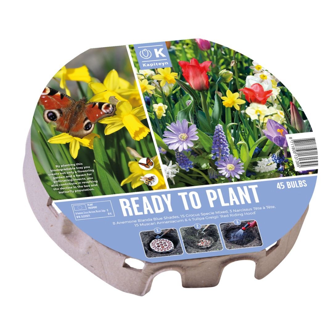 Ready To Plant Tray Wild Blooms Bulbs