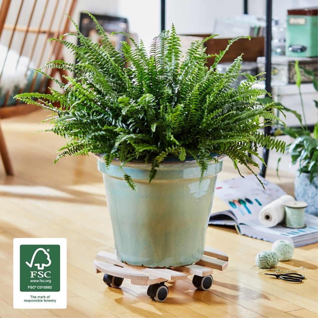 Plant Trolley Indoor Round - Beech Wood