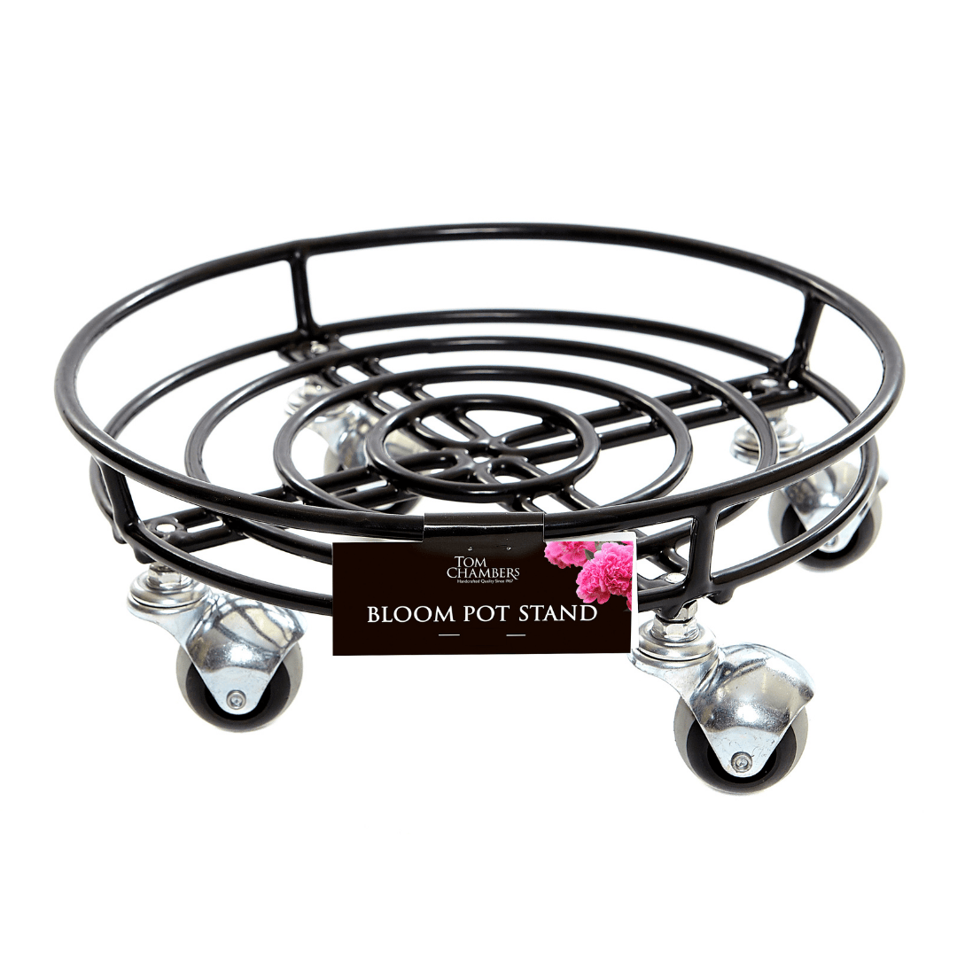 Tom Chambers Bloom Pot Stand on Wheels