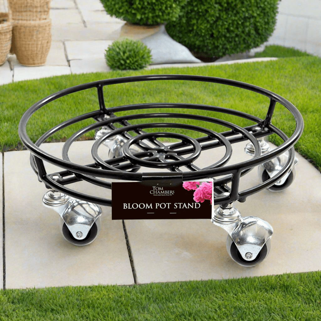 Tom Chambers Bloom Pot Stand on Wheels