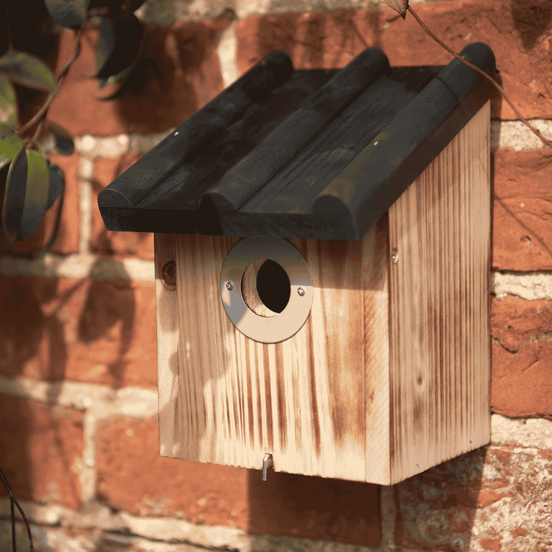Tom Chambers Crest Nest Box