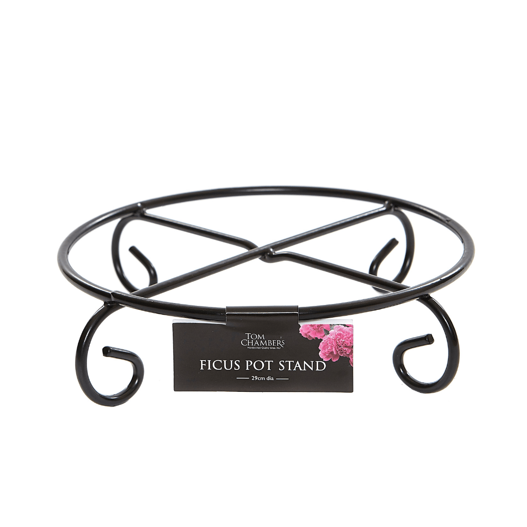 Tom Chambers Ficus Pot Stand