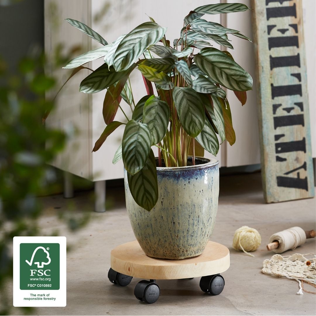 Plant Trolley Indoor Round Birch Wood