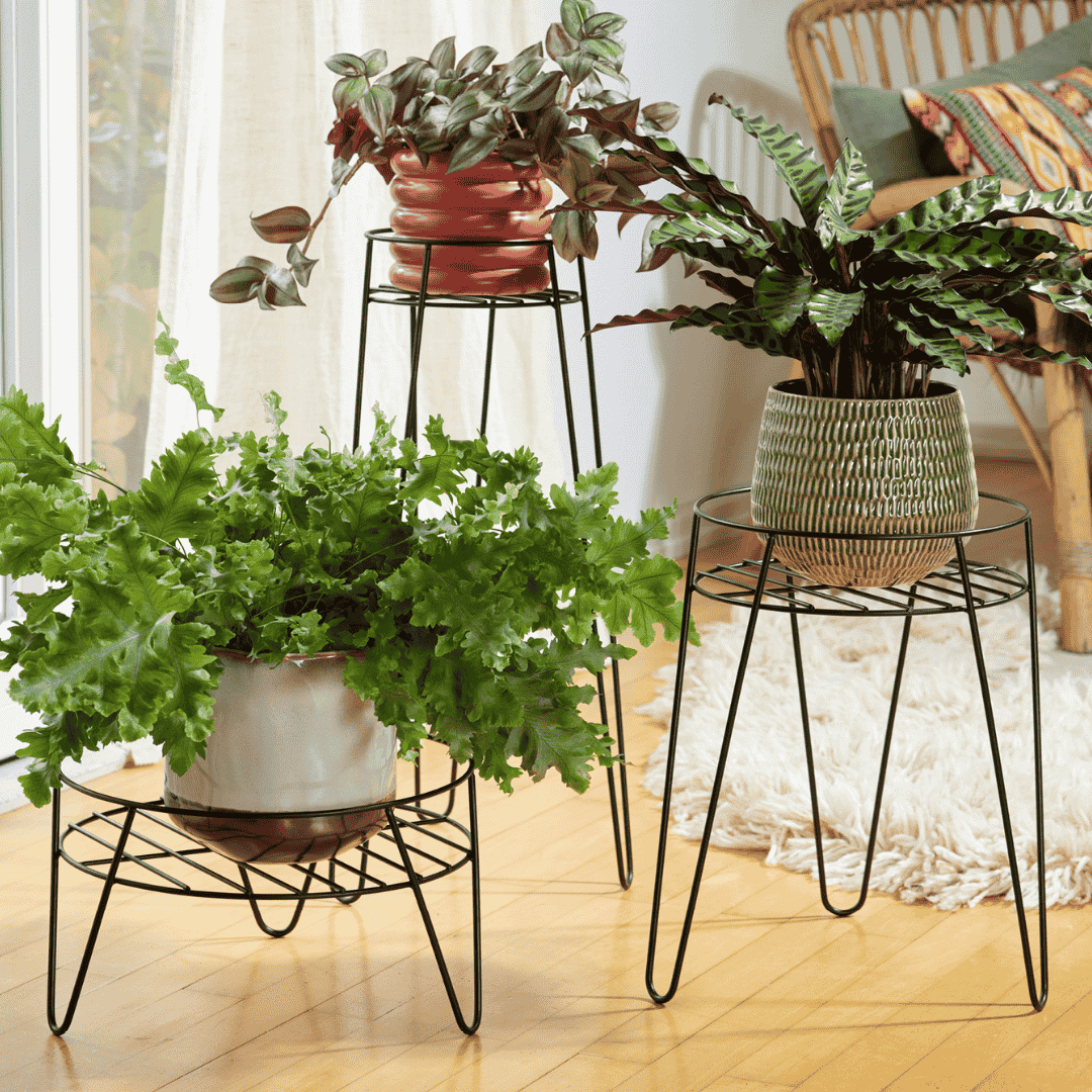Wagner Plant Stand Black