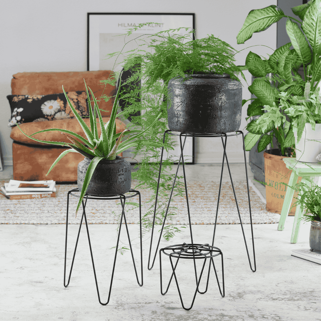 Wagner Plant Stand Black Metal