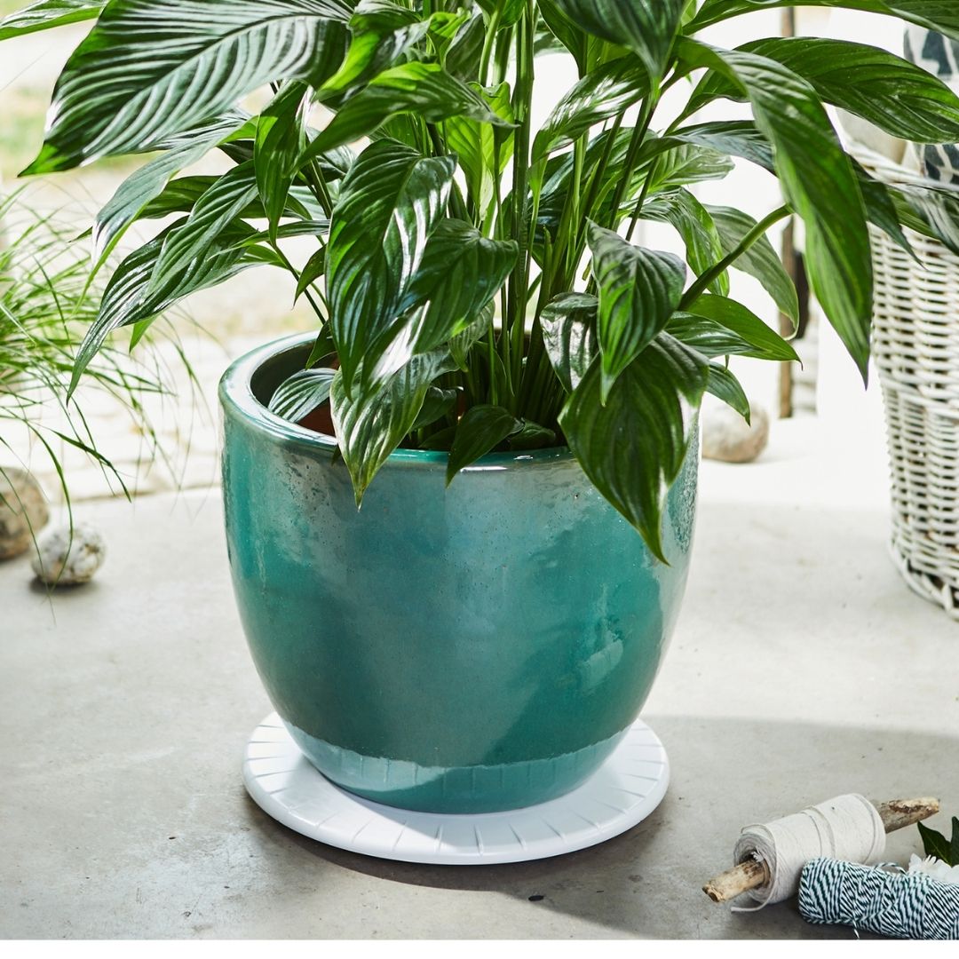 Plant Trolley Indoor Round Ultra Flat - White