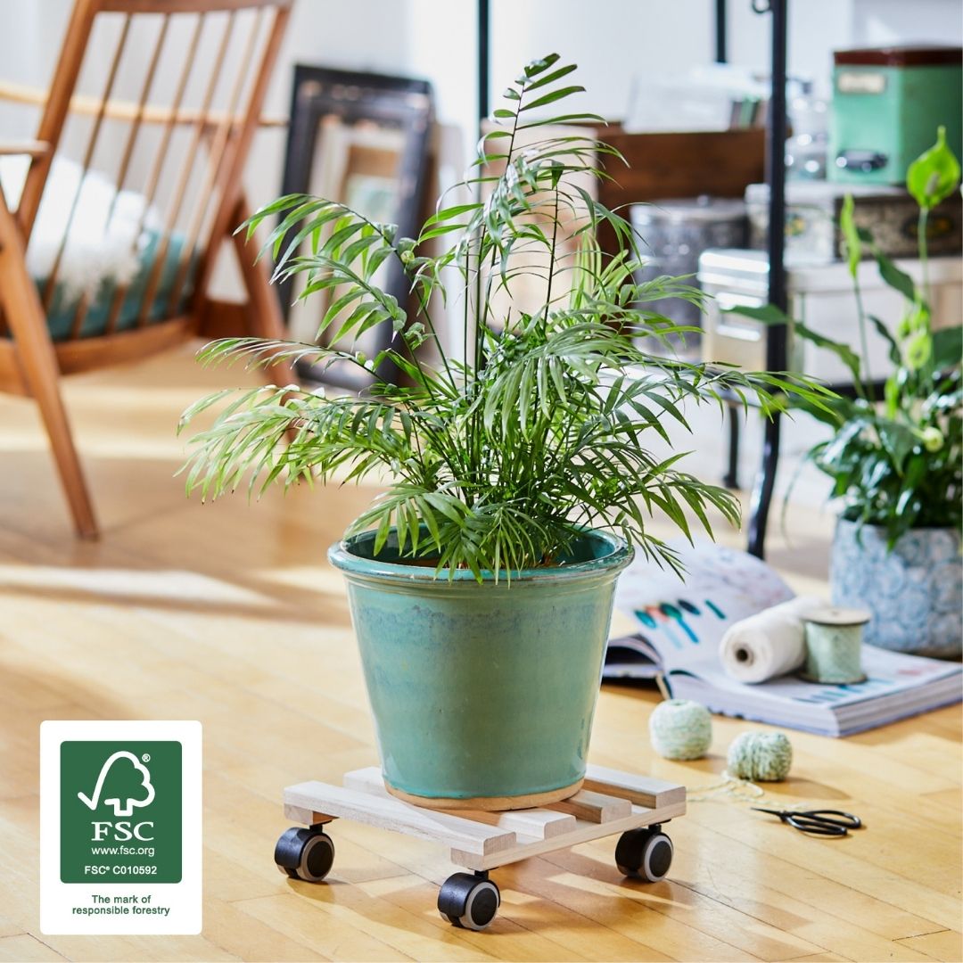 Plant Trolley Indoor Square - Beech Wood 25cm