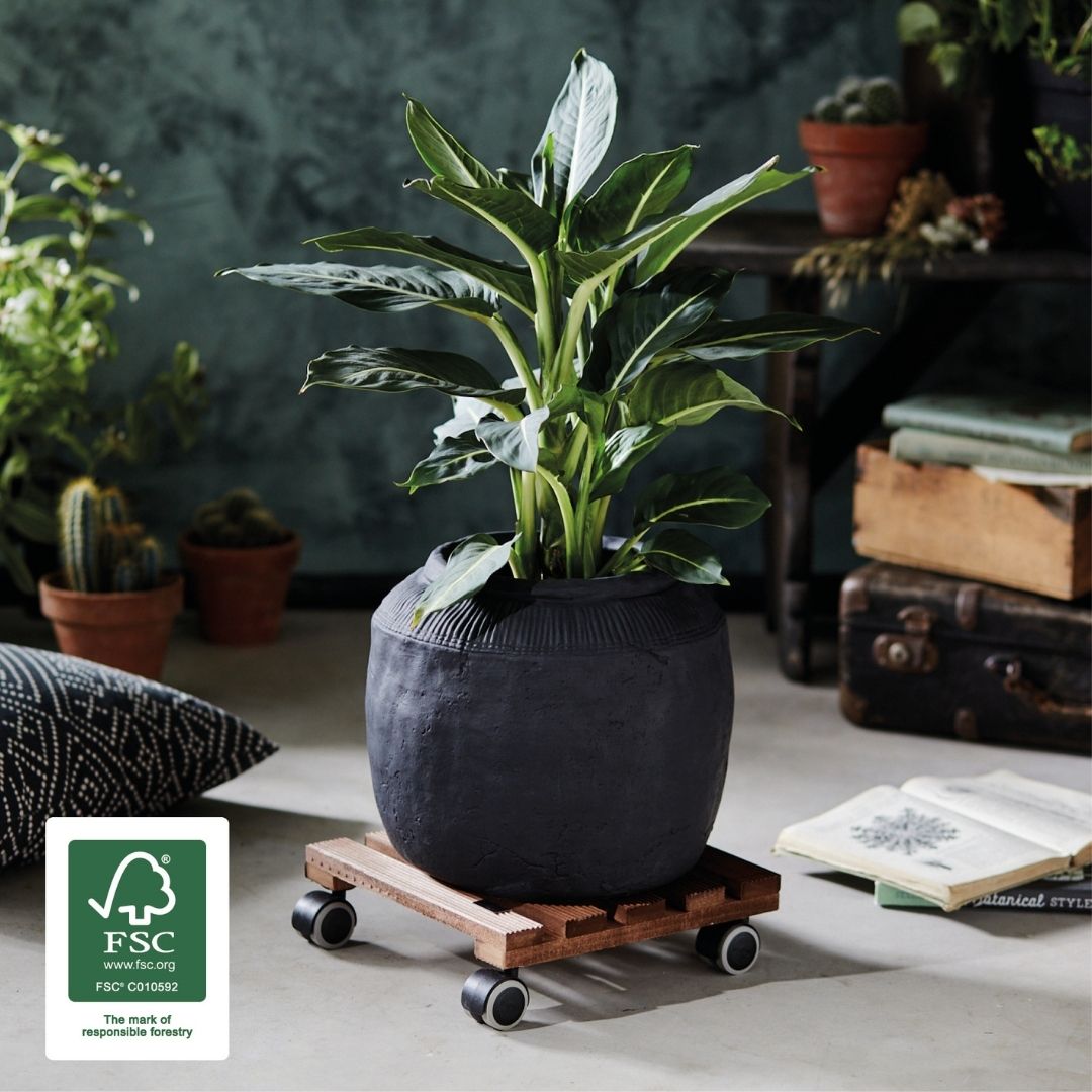 Plant Trolley Indoor Square - Solid Wood