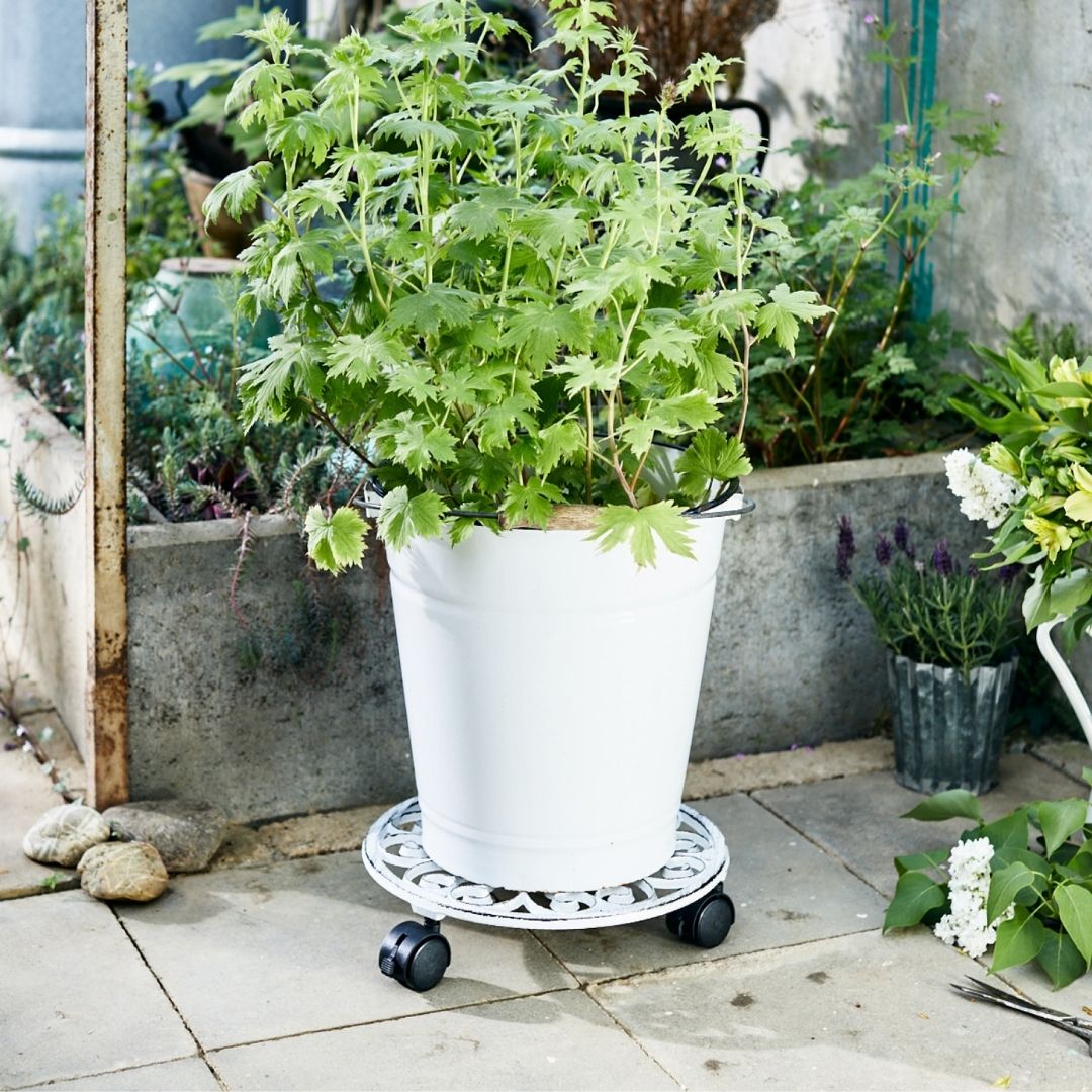 Plant Trolley Indoor/Outdoor Round - Cast Iron White