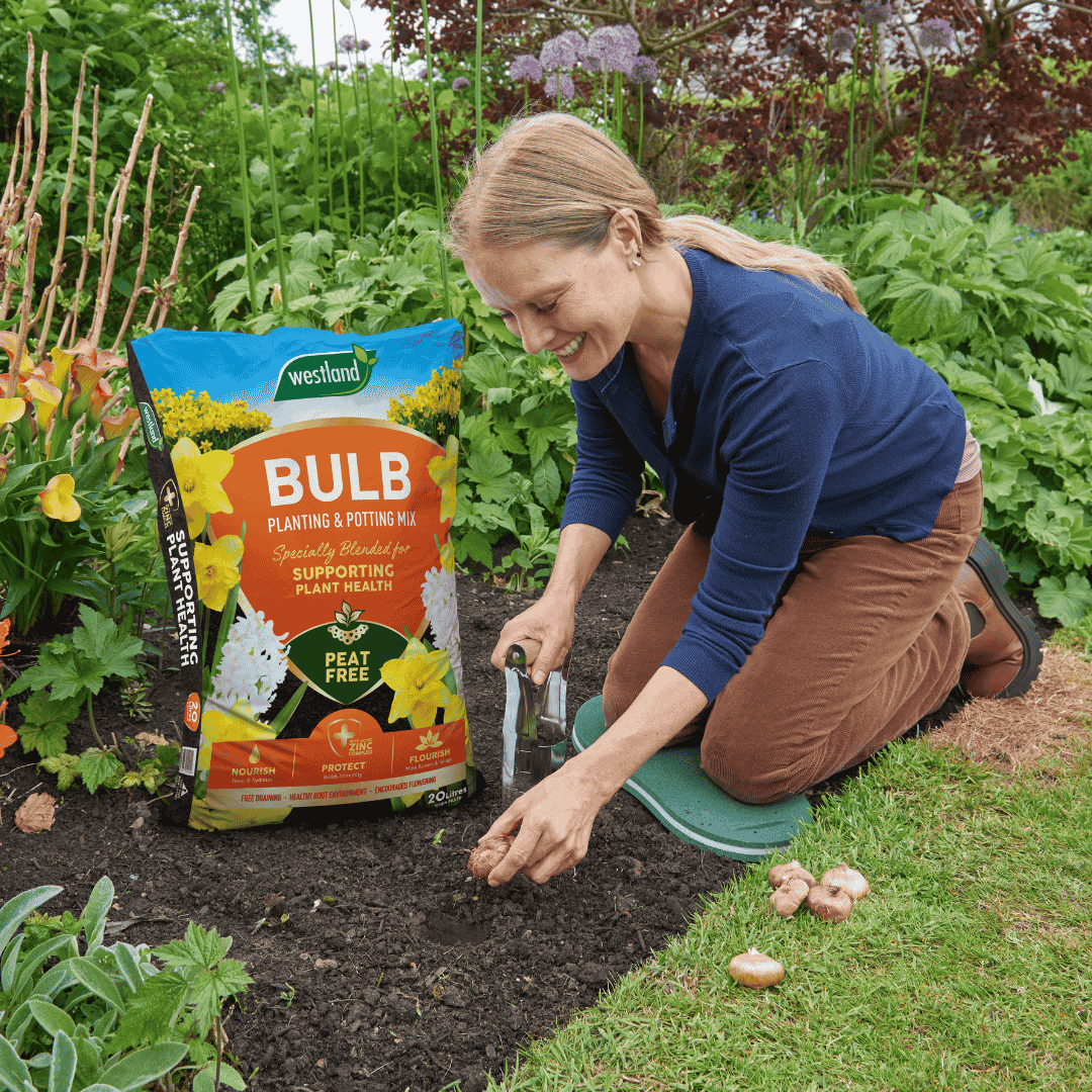 Westland Bulb Planting & Potting Mix