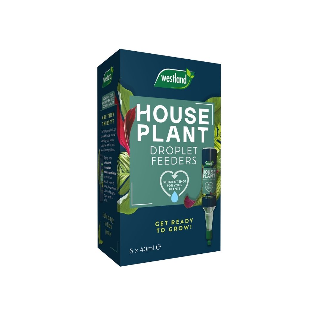 Westland Houseplant Droplet Feeder – 6pack