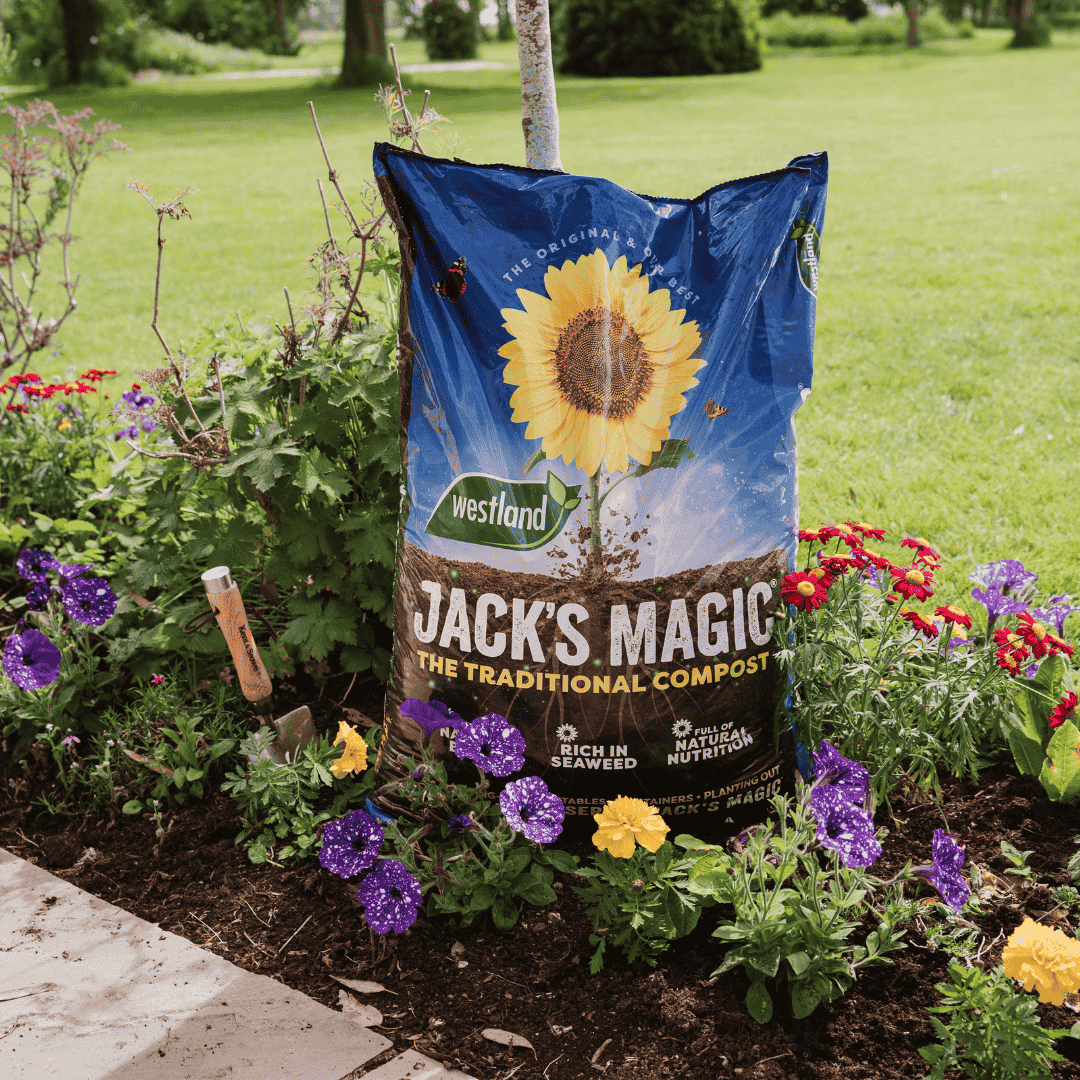Westland Jack's Magic All Purpose Compost 50L