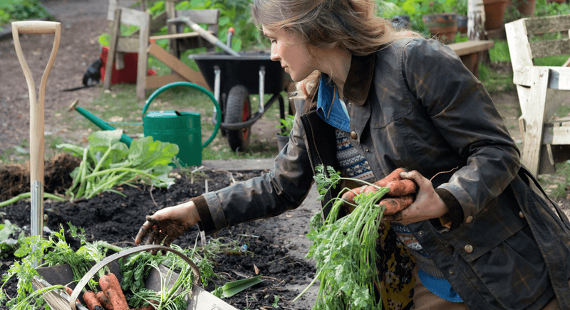 Home Grown Food - The Garden House