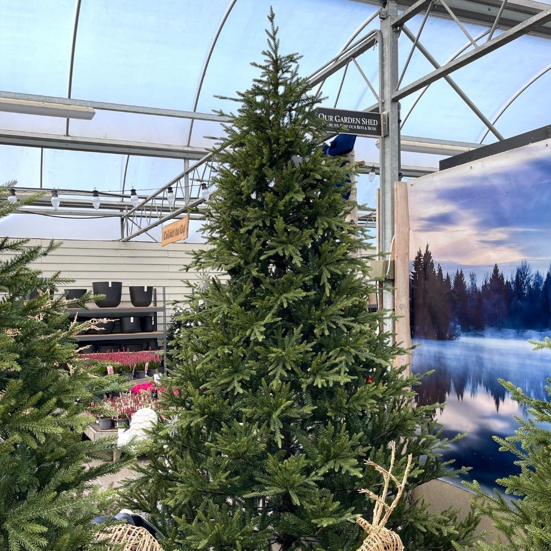10ft Grand Nottingham Fir Artificial Christmas Tree