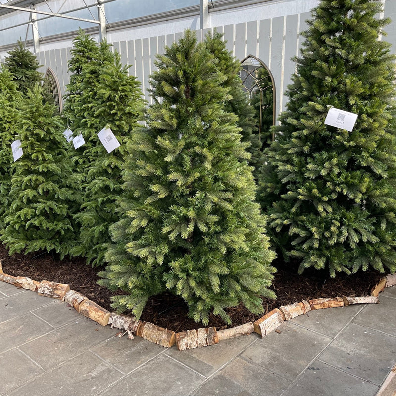 10ft Kensington Fir Artificial Christmas Tree