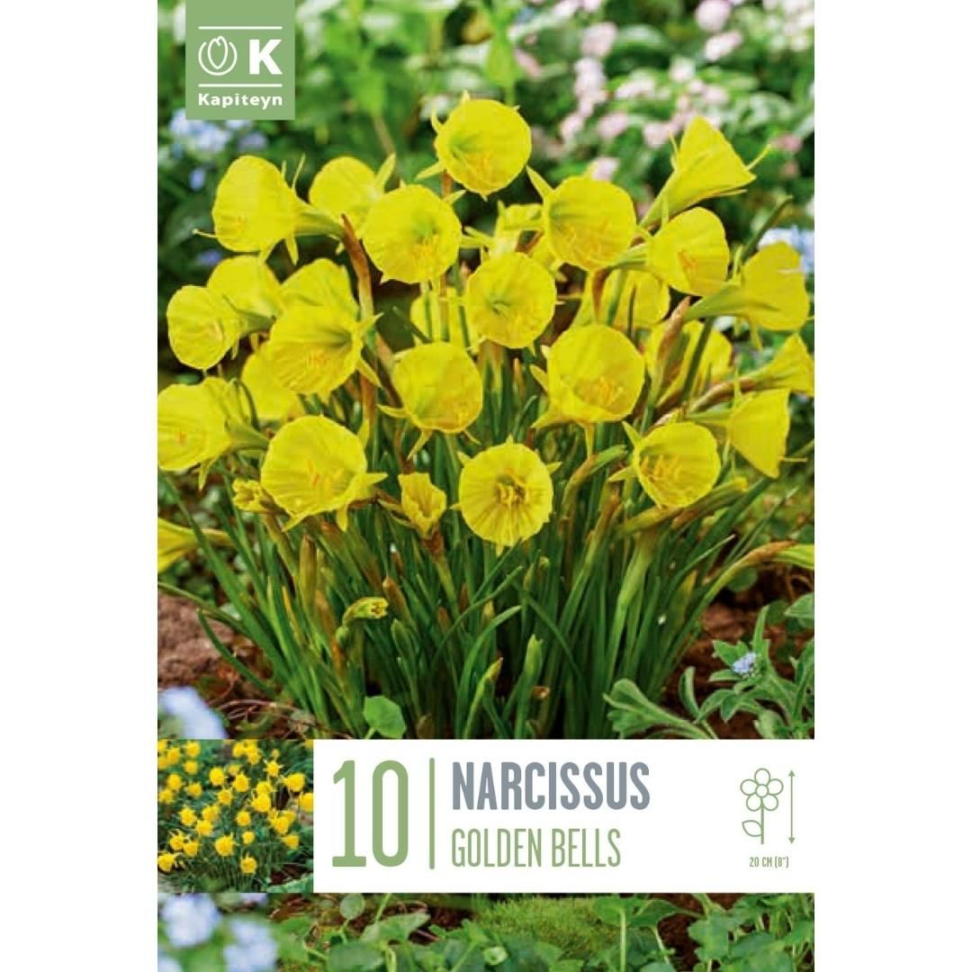 Narcissus Golden Bells Bulbs
