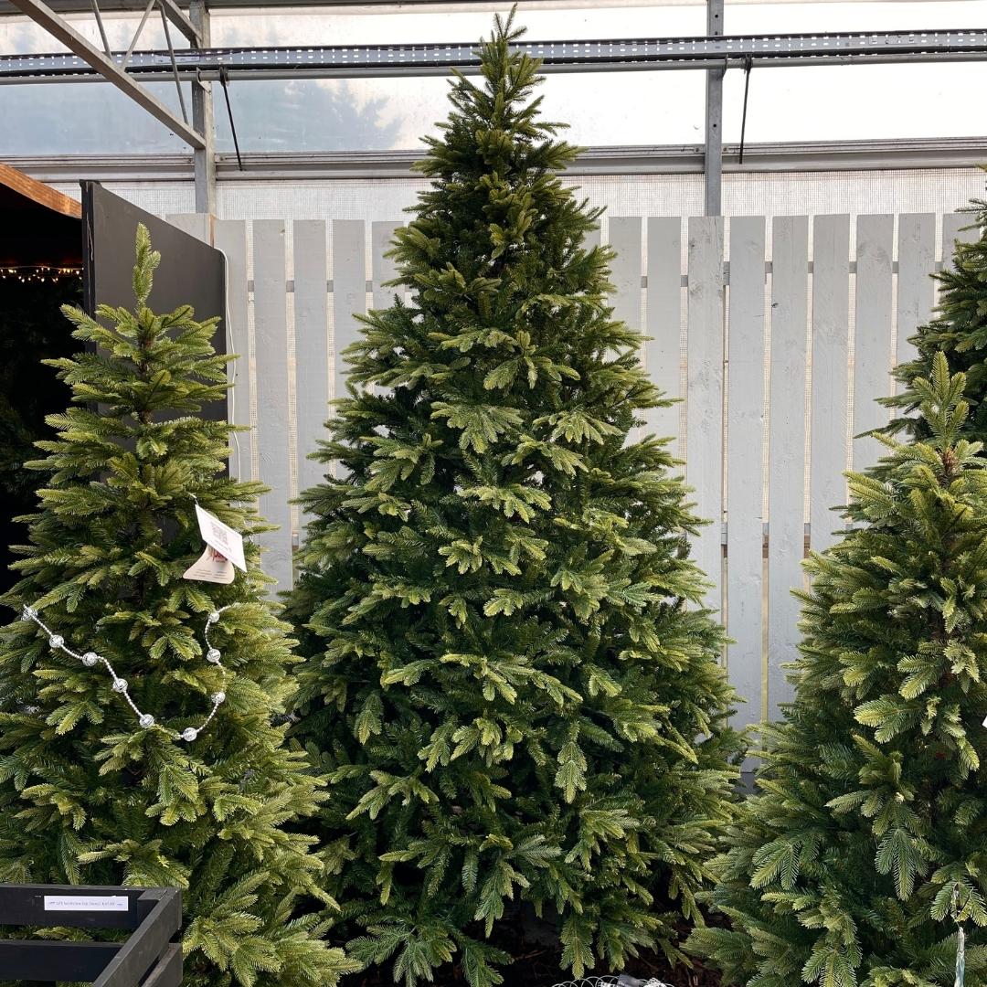 9ft Grand Parque Artificial Christmas Tree