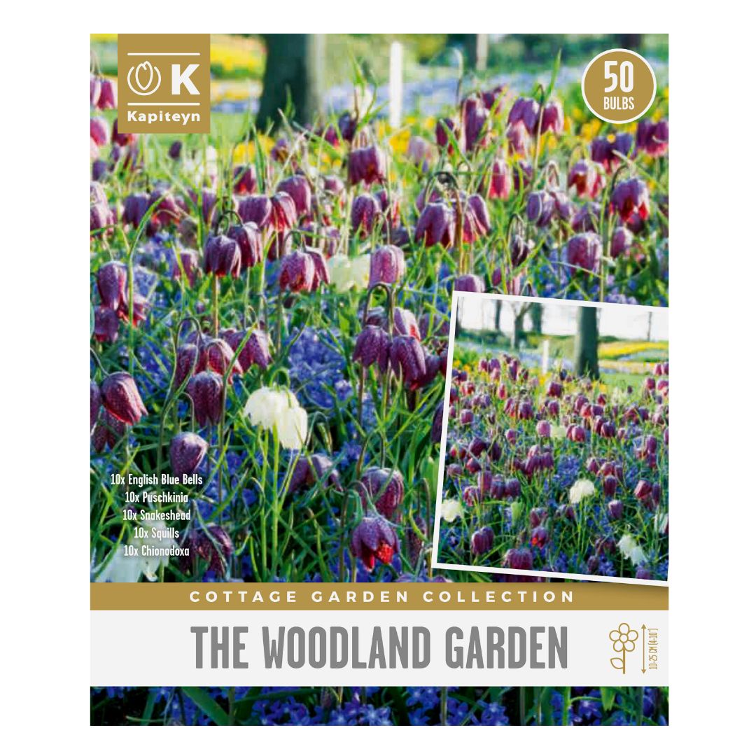 The Woodland Garden Collection Bulbs
