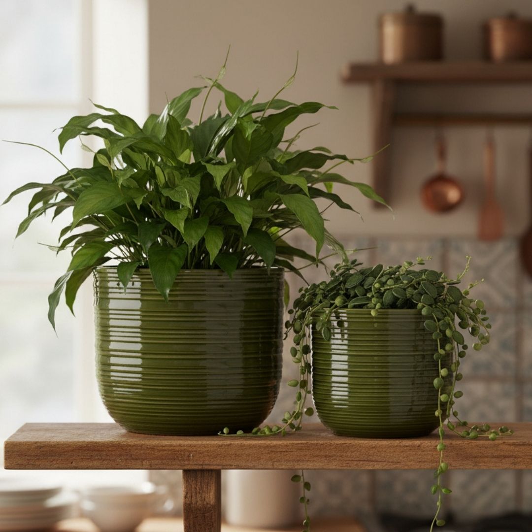 Addison Indoor Pot Green