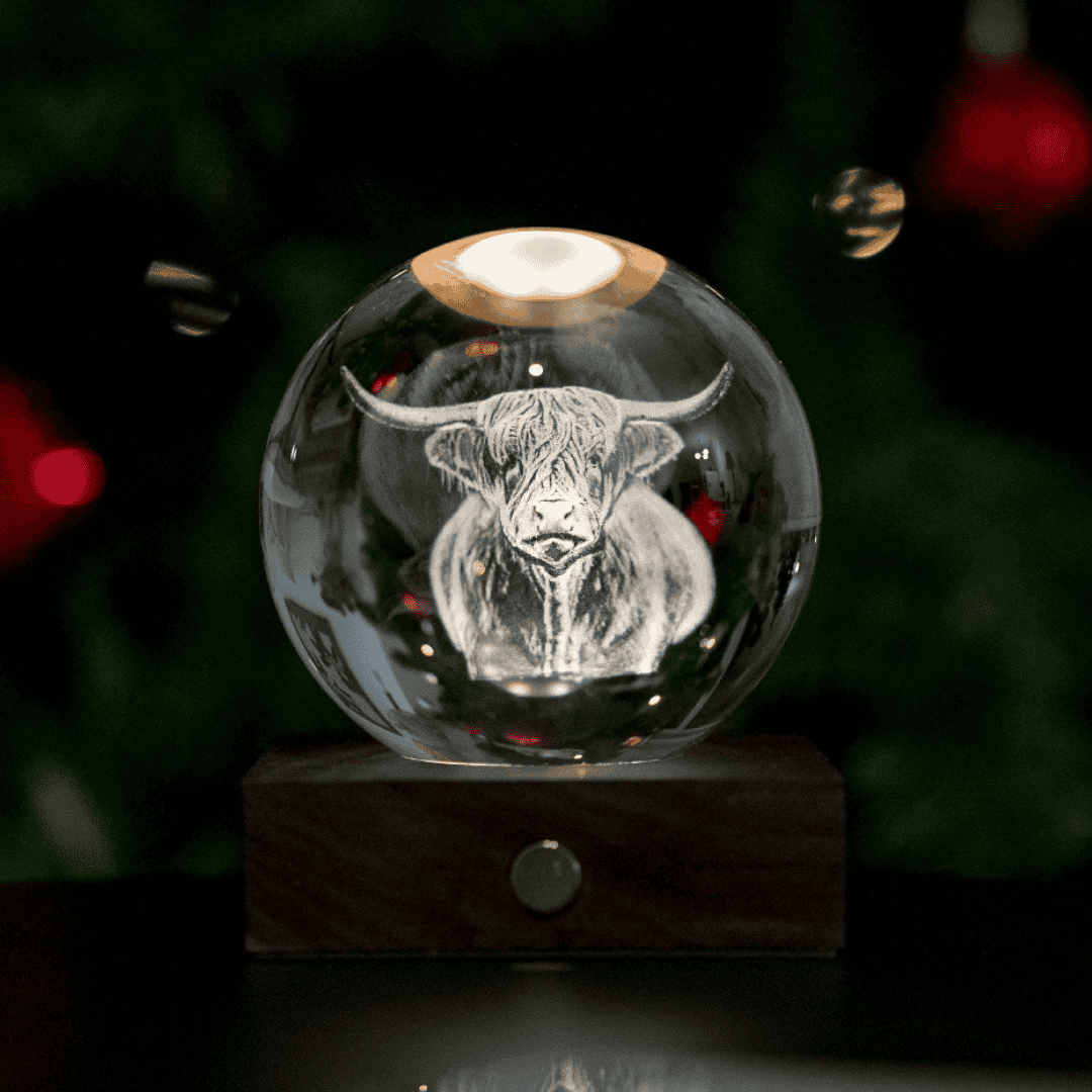 Amber Crystal Light - Highland Cow