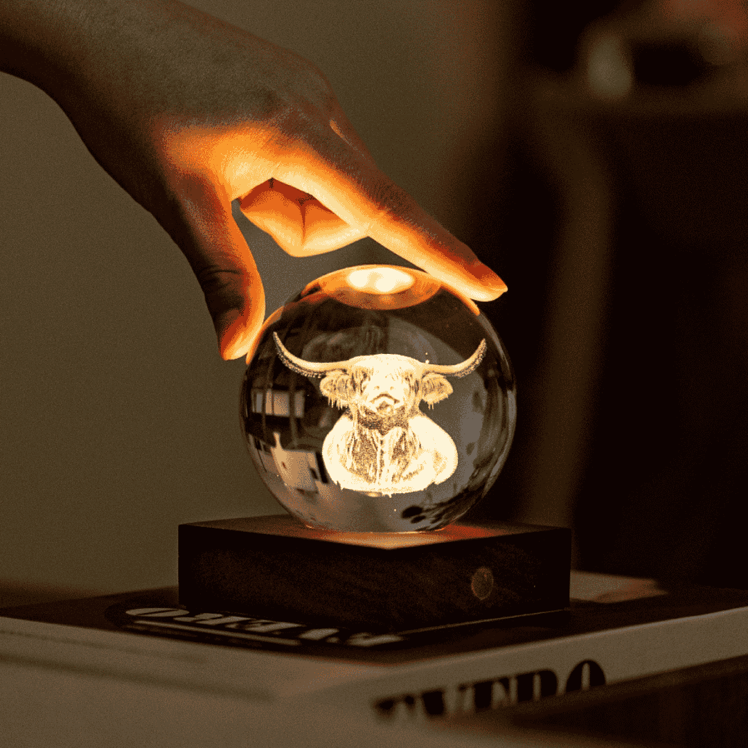 Amber Crystal Light - Highland Cow