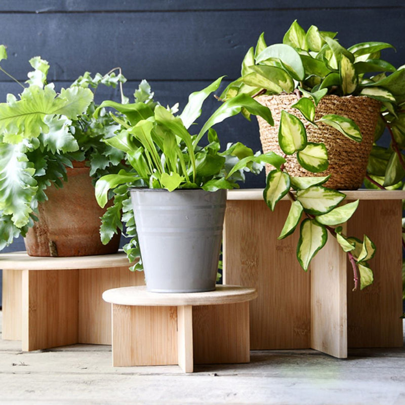 Bamboo Plant Pot Stand Med