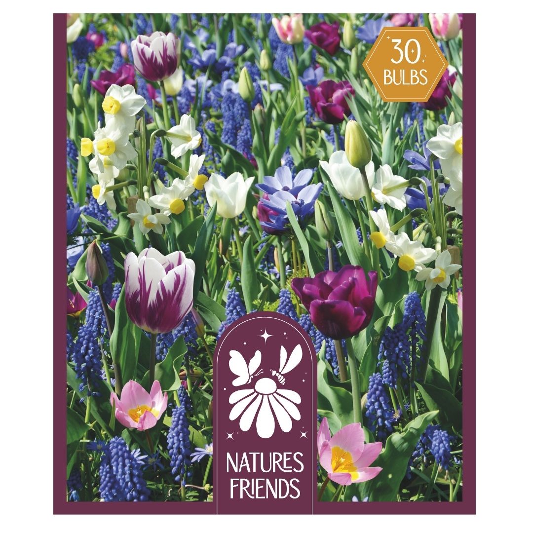 Blooms Bees & Butterflies Blue Shades