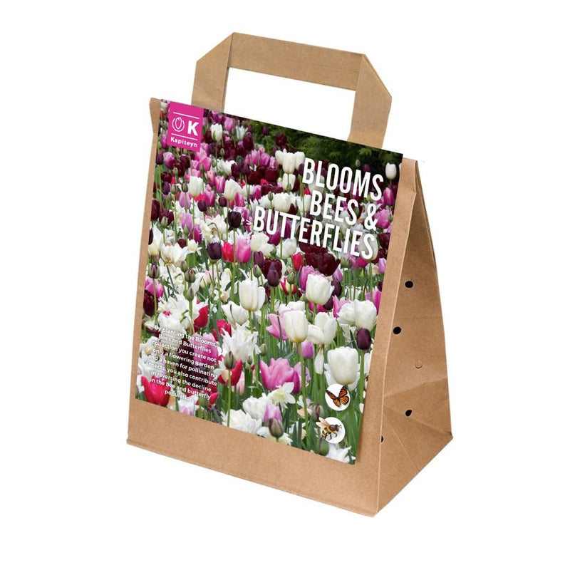 Blooms Bees & Butterflies Pink Shades Bulbs